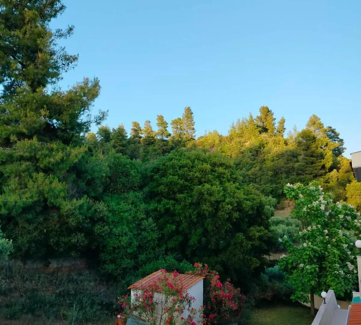 Dionysus View Apartment Kassandria Greece