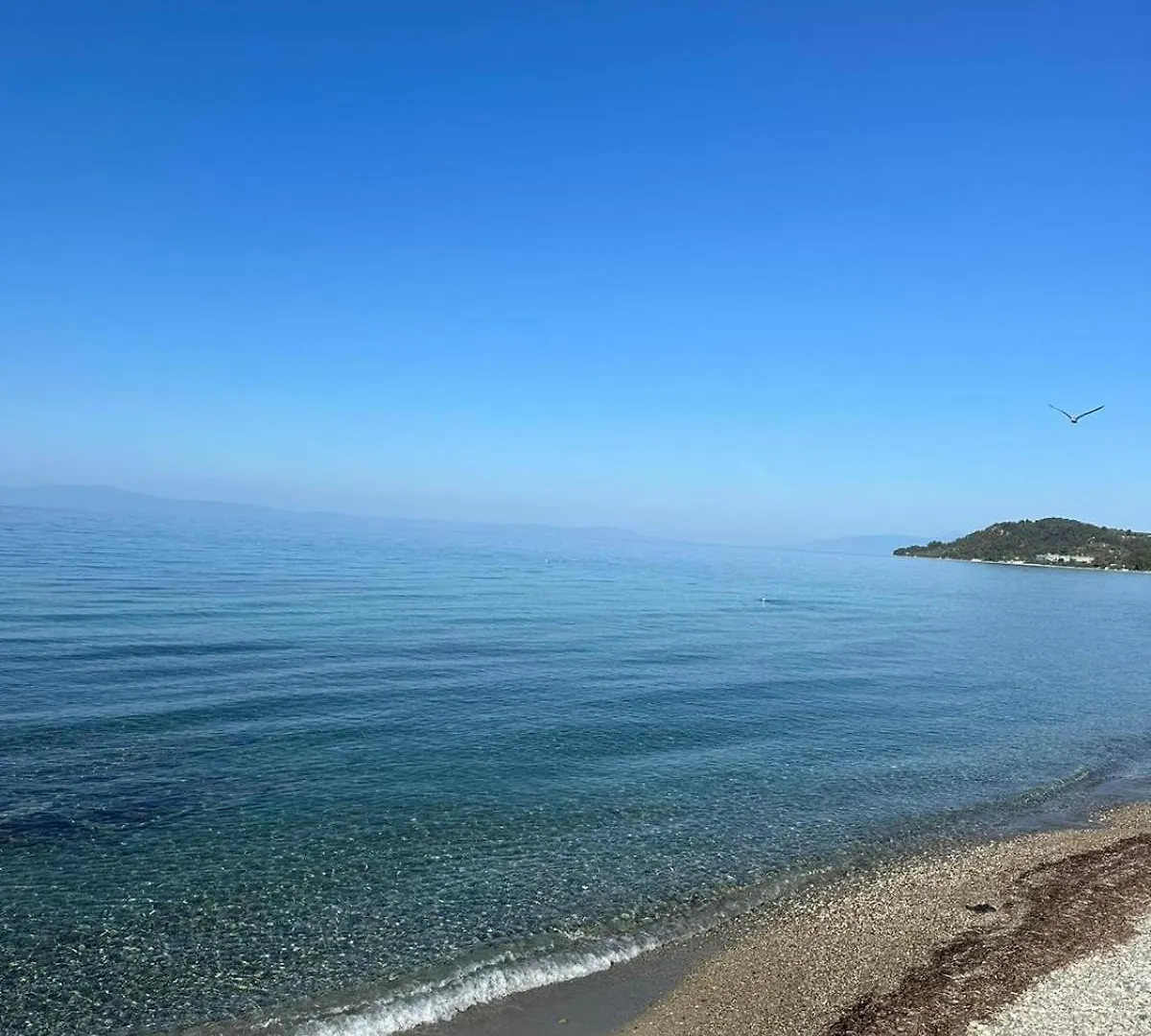 Dionysus View Apartment Kassandria