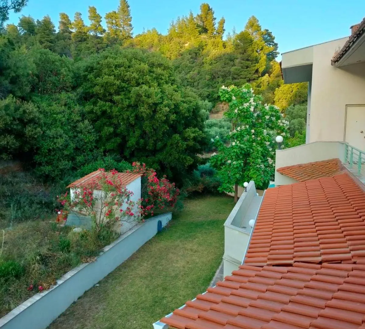 Dionysus View Apartment Kassandria